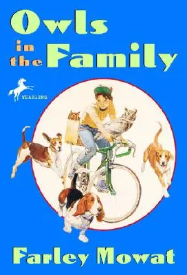 Sovy v rodine - Owls in the Family