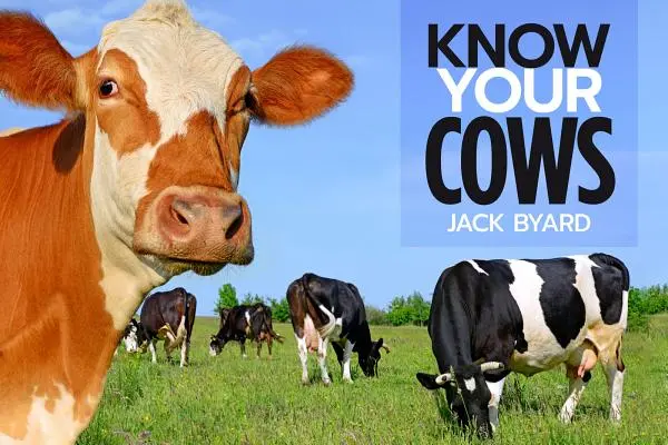 Spoznajte svoje kravy - Know Your Cows