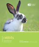 Králik - Rabbit