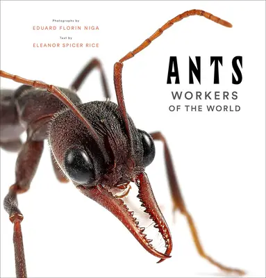 Mravce: Robotníci sveta - Ants: Workers of the World