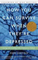 Ako môžete prežiť, keď majú depresiu: Ako žiť a vyrovnať sa s následkami depresie - How You Can Survive When They're Depressed: Living and Coping with Depression Fallout