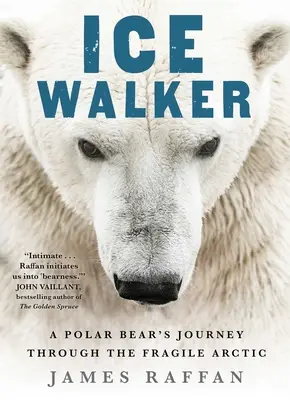 Ľadový chodec: Cesta ľadového medveďa krehkou Arktídou - Ice Walker: A Polar Bear's Journey Through the Fragile Arctic