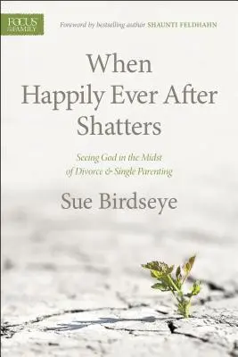 Keď sa šťastie rozbije: Keď sa niečo rozpadne: Vidieť Boha uprostred rozvodu a osamelého rodičovstva - When Happily Ever After Shatters: Seeing God in the Midst of Divorce & Single Parenting