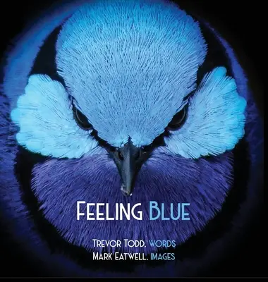 Pocit modrej farby - Feeling Blue