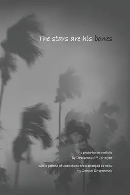 Hviezdy sú jeho kosti: atmosférická foto-haiku monografia s úryvkami z upanišád - The stars are his bones: an atmospheric photo-haiku monograph with Upanishadic extracts