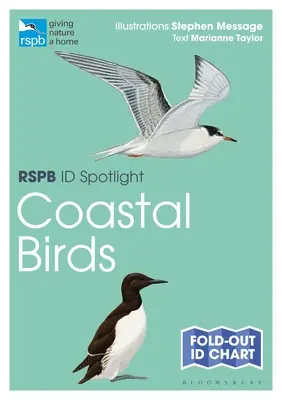 Rspb Id Spotlight - pobrežné vtáky - Rspb Id Spotlight - Coastal Birds