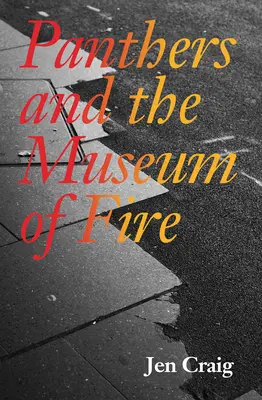 Panteri a múzeum ohňa - Panthers and the Museum of Fire
