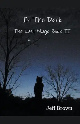 V tme: Posledný mág Kniha II - In The Dark: The Last Mage Book II