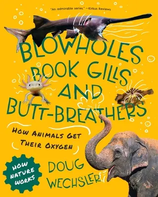 Fúkacie otvory, knižné žiabre a zadné dýchacie otvory: Ako živočíchy získavajú kyslík - Blowholes, Book Gills, and Butt-Breathers: How Animals Get Their Oxygen
