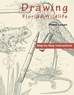 Kreslenie divokej prírody na Floride - Drawing Florida Wildlife