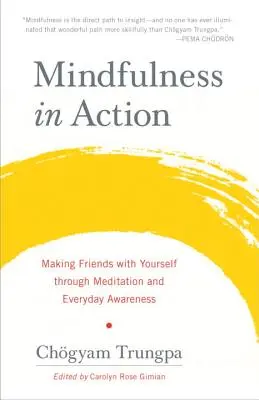 Všímavosť v akcii: Priateľstvo so sebou samým prostredníctvom meditácie a každodenného uvedomovania - Mindfulness in Action: Making Friends with Yourself Through Meditation and Everyday Awareness