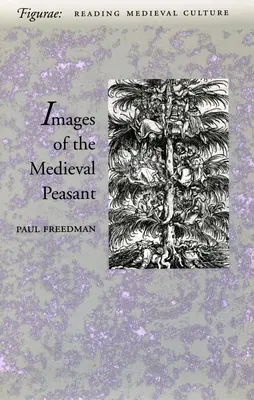 Obraz stredovekého roľníka ako cudzieho a vzorového - Image of the Medieval Peasant as Alien and Exemplary
