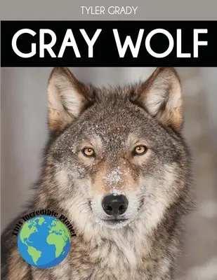 Sivý vlk: Fascinujúce fakty o zvieratách pre deti - Gray Wolf: Fascinating Animal Facts for Kids