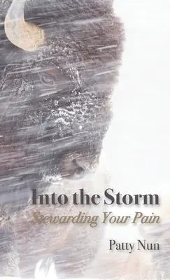 Do búrky - Into The Storm