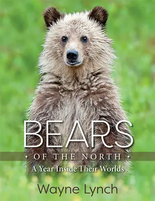 Medvede severu: Medvede: Rok v ich svete - Bears of the North: A Year Inside Their Worlds