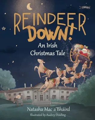 Reindeer Down!: Írsky vianočný príbeh - Reindeer Down!: An Irish Christmas Tale