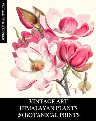 Vintage Art: Himalayan Plants 20 botanických výtlačkov: Biodiverzita pre zarámovanie, koláž, dekupáž a časopisy - Vintage Art: Himalayan Plants 20 Botanical Prints: Ephemera for Framing, Collage, Decoupage and Junk Journals