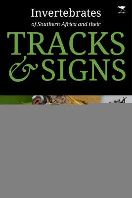 Bezstavovce južnej Afriky a ich stopy a znaky - Invertebrates of Southern Africa & Their Tracks and Signs