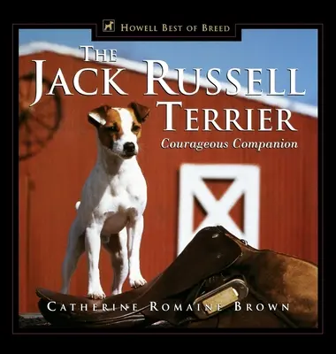 Jack Russell teriér: Odvážny spoločník - The Jack Russell Terrier: Courageous Companion