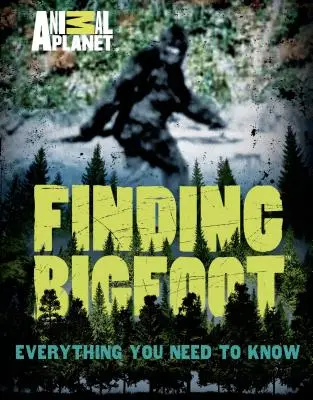 Hľadanie Yetiho: Všetko, čo potrebujete vedieť - Finding Bigfoot: Everything You Need to Know