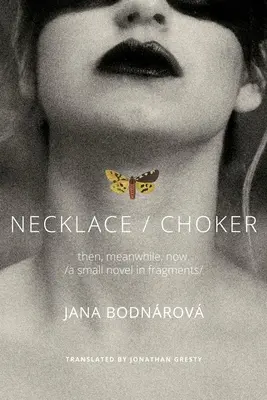 Náhrdelník/náhrdelník: Malý román vo fragmentoch - Necklace/Choker: Then, Meanwhile, Now./A Small Novel in Fragments