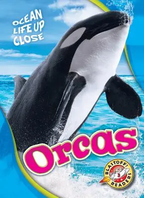 Kosatky - Orcas