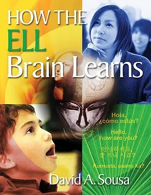 Ako sa učí mozog Ella - How the Ell Brain Learns