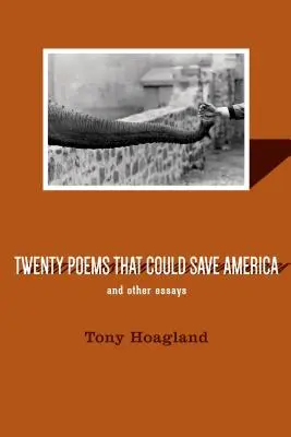 Dvadsať básní, ktoré by mohli zachrániť Ameriku a iné eseje - Twenty Poems That Could Save America and Other Essays