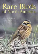 Vzácne vtáky Severnej Ameriky - Rare Birds of North America
