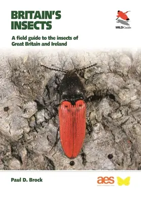 Britský hmyz: Terénny sprievodca hmyzom Veľkej Británie a Írska - Britain's Insects: A Field Guide to the Insects of Great Britain and Ireland