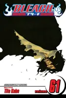 Bleach, zv. 61, 61 - Bleach, Vol. 61, 61