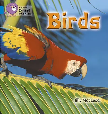 Vtáky - Birds