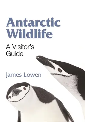 Antarktická divočina: Sprievodca pre návštevníkov - Antarctic Wildlife: A Visitor's Guide