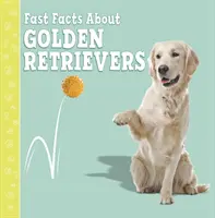 Rýchle fakty o zlatých retrieveroch - Fast Facts About Golden Retrievers