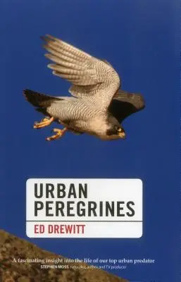Mestský sokol sťahovavý - Urban Peregrines