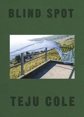Slepá škvrna - Blind Spot