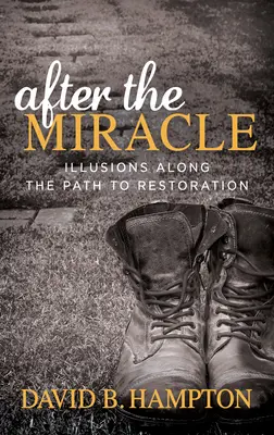Po zázraku: ilúzie na ceste k obnove - After the Miracle: Illusions Along the Path to Restoration