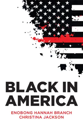 Čierni v Amerike: Paradox farebnej hranice - Black in America: The Paradox of the Color Line