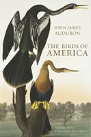 Vtáky Ameriky - Birds of America
