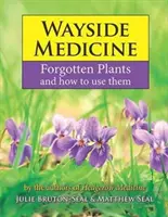 Wayside Medicine - Zabudnuté rastliny a ich využitie - Wayside Medicine - Forgotten Plants and how to use them