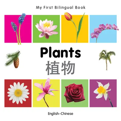 Moja prvá dvojjazyčná kniha-Rastliny (anglicko-čínsky) - My First Bilingual Book-Plants (English-Chinese)