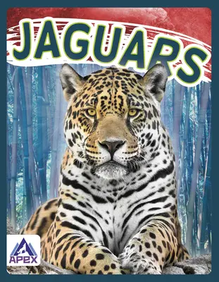 Jaguáre - Jaguars