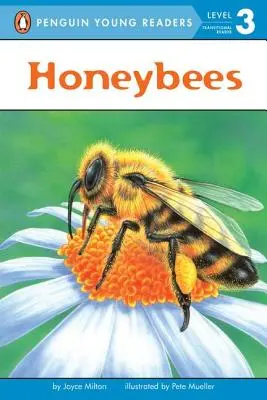 Včely medonosné - Honeybees