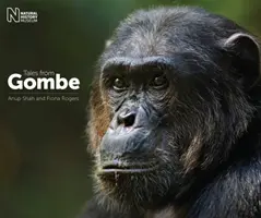 Príbehy z Gombe - Tales from Gombe