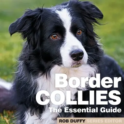 Border kolie: Základný sprievodca - Border Collies: The Essential Guide