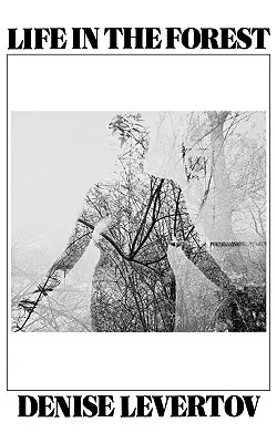 Život v lese - Life in the Forest