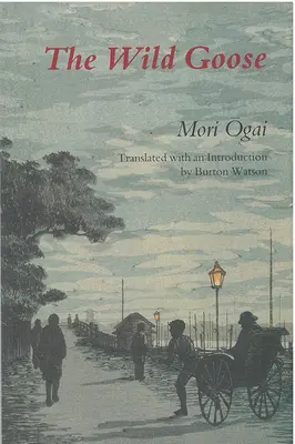 Divoké husi, 14. zväzok - The Wild Goose, Volume 14