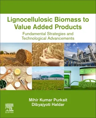 Z lignocelulózovej biomasy na výrobky s pridanou hodnotou: Základné stratégie a technologický pokrok - Lignocellulosic Biomass to Value-Added Products: Fundamental Strategies and Technological Advancements