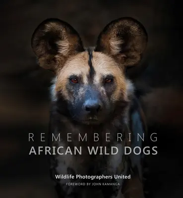Spomínanie na africké divoké psy - Remembering African Wild Dogs