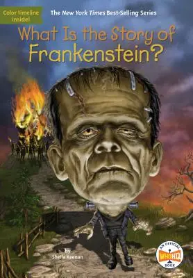 Aký je príbeh Frankensteina? - What Is the Story of Frankenstein?